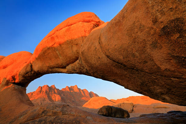 istock Spitzkoppe, beautiful hill in Namibia. Rock monument in the nature. Landscape in namibia. Stone in the nature, evening light in the rocky desert. Travel in Namibia, Africa. GroÃe Spitzkoppe monument. 1267711191