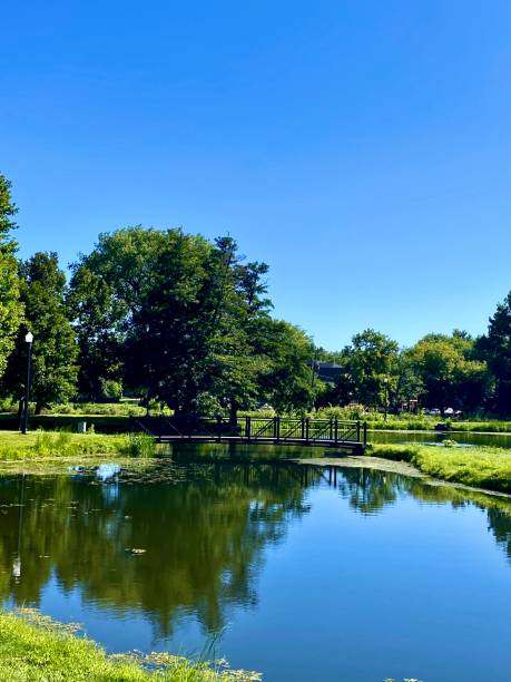 istock Bridges and blue skies 1267711343
