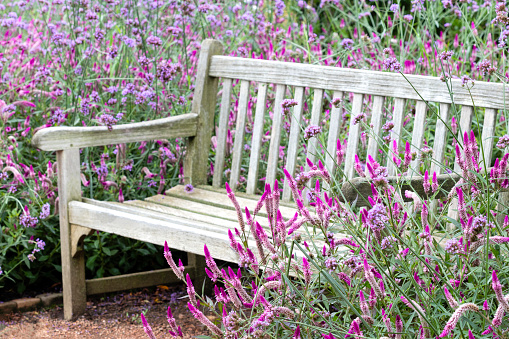 Wood bench in a flower garden