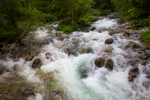 Rapids in the Sava Bohinjka river in Triglav National Park, near the Savica Waterfall and Lake Bohinj, Slovenia