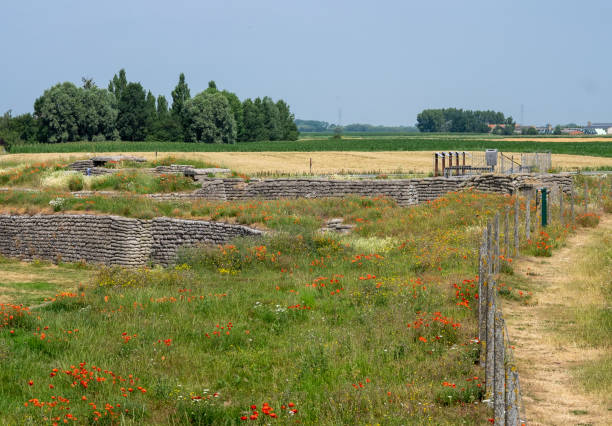 World War I trenches known as Dodengang (Trench of Death) surrounded by poppies.