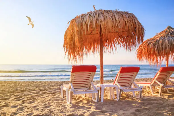 Photo of Coastal landscape - view of the sandy sea beach with deck chairs and canopies