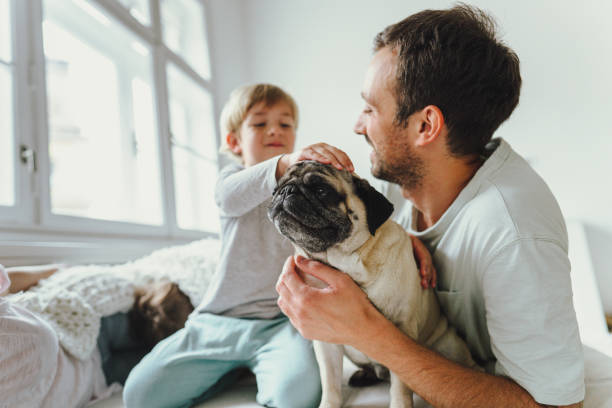istock Lovely mornings with our pet 1267720075