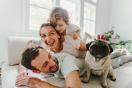 Photo of a young family lying on the top of each other being cheerful and playful; accompanied by their dog who is sitting next to them; morning routine of a young modern family.