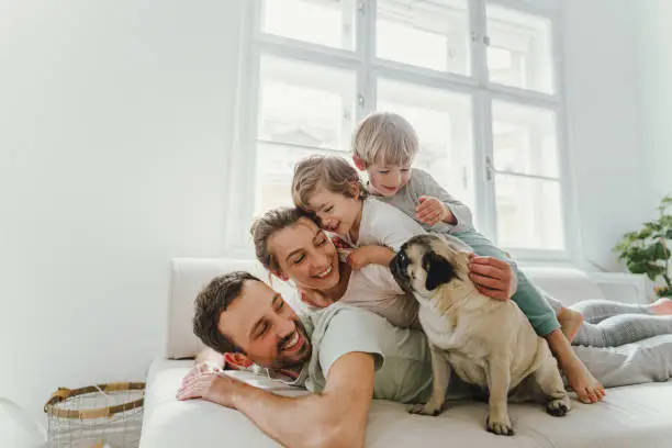 Photo of a young family with two kids lying on the top of each other being cheerful and playful; accompanied by their dog who is sitting next to them; morning routine of a young modern family.