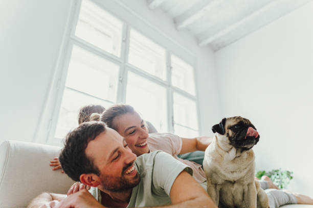 istock Lovely mornings with our pet 1267721029