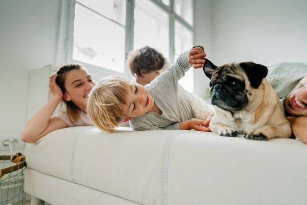 istock Our family 1267721589
