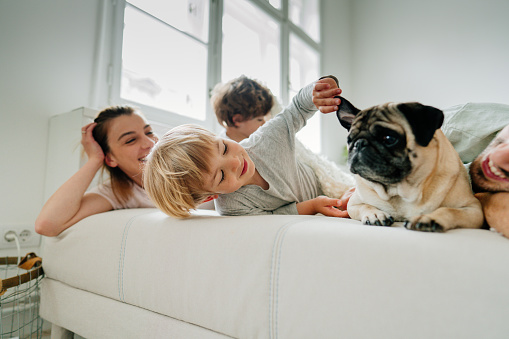 Photo of a young family with two kids and a dog lying on the bed; being playful and cuddling; morning routine of a young modern family.