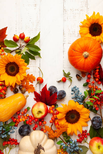 istock Autumn composition with pumpkins, sunflowers, leaves and berries 1267722778