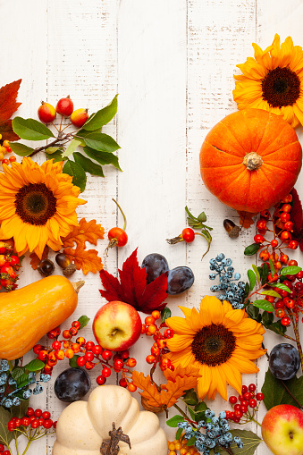 Autumn composition with pumpkins, fruits,sunflowers, leaves and berries on white wooden table. Flat lay, copy space. Concept of fall harvest or Thanksgiving day.