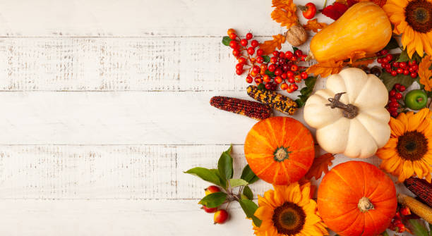 istock Autumn composition with pumpkins, sunflowers, leaves and berries 1267723362