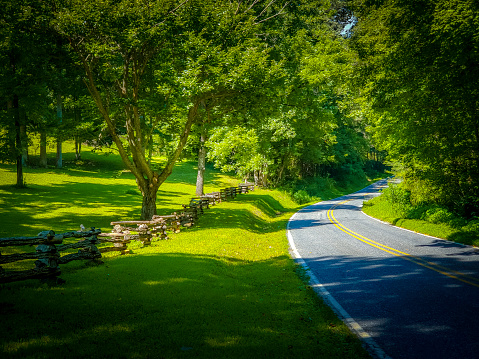 Country Road on Summer Day with Split Rail Fence; deep shadows
