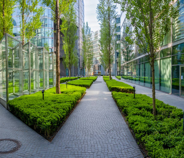 green courtyard between modern office buildings in Berlin.