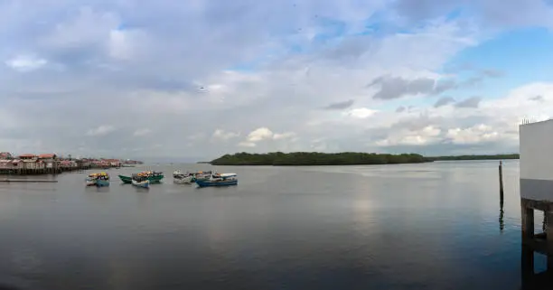 Panoramic view of mangroves and fishermen's houses of Tumaco on the Colombian Pacific coast.