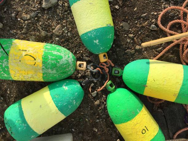 istock Five buoys in a circle 1267731001