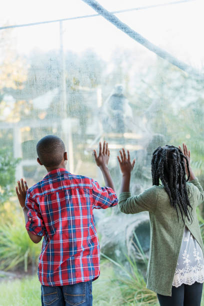 istock African-American children at zoo, primate exhibit 1267746490