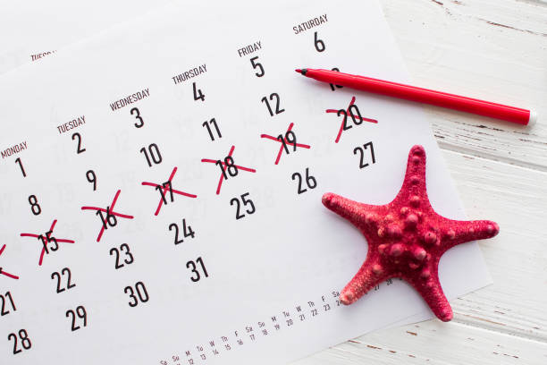 Vacation planning concept. Travel preparation