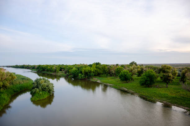 istock Quiet river with trees growing along the banks 1267780218