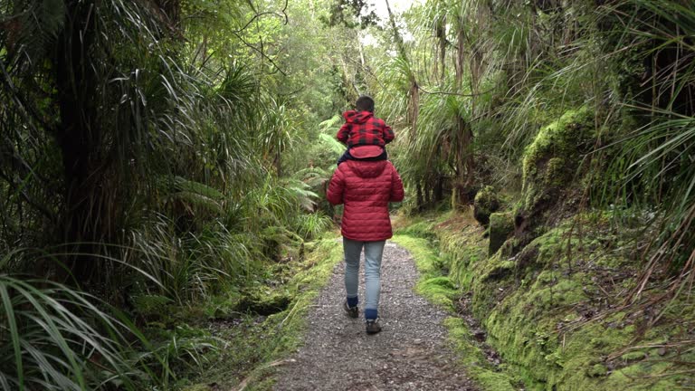 Mother taking son on her back during a hike in bush in Westland National Park, New Zealand.