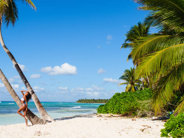 istock Exuberant beach on Saona Island 1267805100