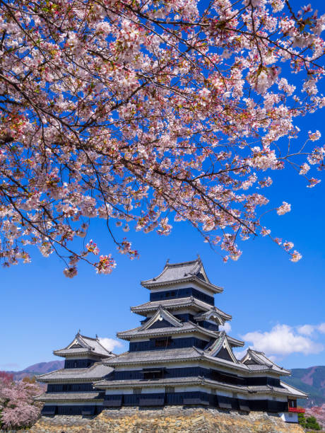 Matsumoto castle in spring season, Nagano, Japan stock photo