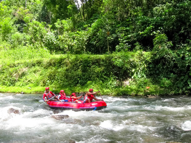 발리 산강 협곡에서 래프팅 - rafting strength excitement men 뉴스 사진 이미지