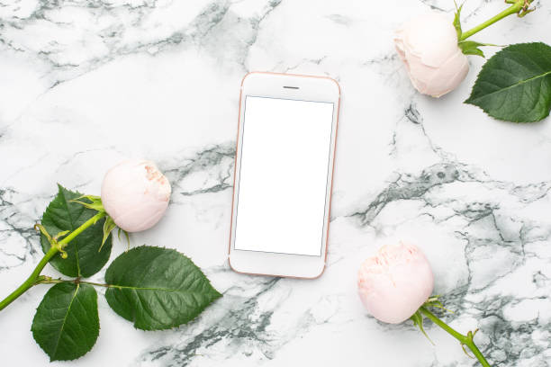 istock White roses with mobile phone on white and black marble background with copyspace 1267809348