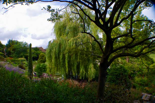 istock Traditional English park with a pond and greenery 1267811453