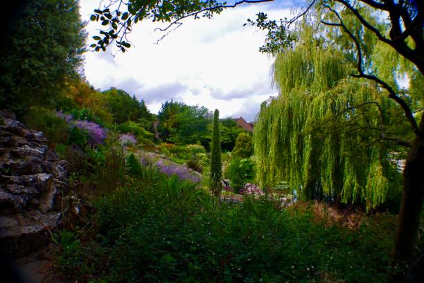 istock Traditional English park with a pond and greenery 1267811454