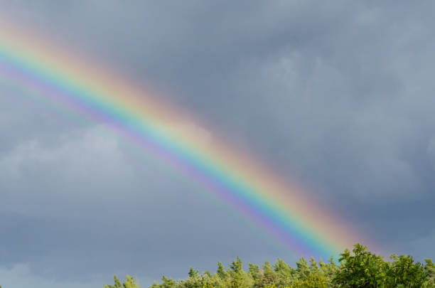 rainbow above some green tree tops - 6707 imagens e fotografias de stock