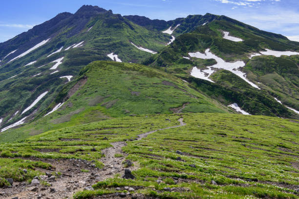 istock Mount Chokaisan in early summer 1267816446
