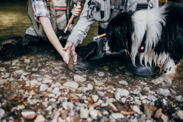 Photo of Young adult couple is fishing together on fast mountain river. Active people and sport fly fishing concept.