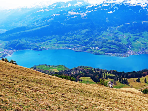 Lake Walensee, between the mountain ranges of Churfirsten and Seeztal subalpine valley, Walenstadtberg - Canton of St. Gallen, Switzerland (Kanton St. Gallen, Schweiz) Lake Walensee, between the mountain ranges of Churfirsten and Seeztal subalpine valley, Walenstadtberg - Canton of St. Gallen, Switzerland (Kanton St. Gallen, Schweiz) summer flower lake awe stock pictures, royalty-free photos & images