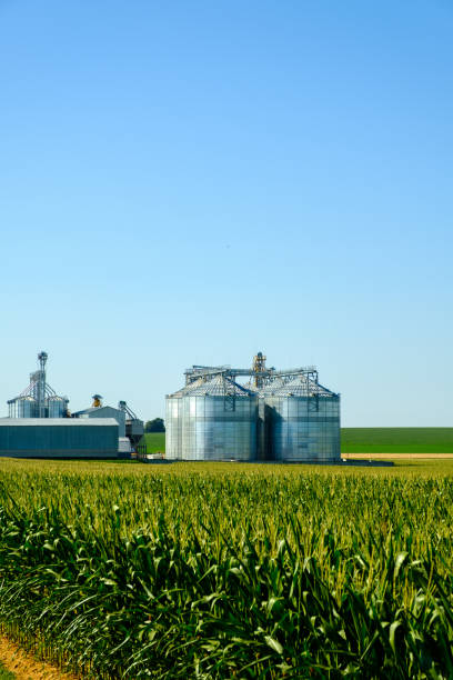 istock Agricultural Silos. Building for storage and drying of grains, wheat, corn. Modern granary elevator. Agribusiness concept. 1267862455