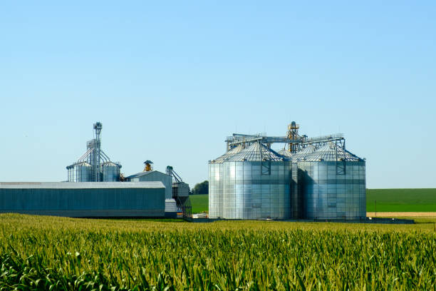 istock Agricultural Silos. Building for storage and drying of grain crops. Modern granary elevator. Agribusiness concept. 1267863603