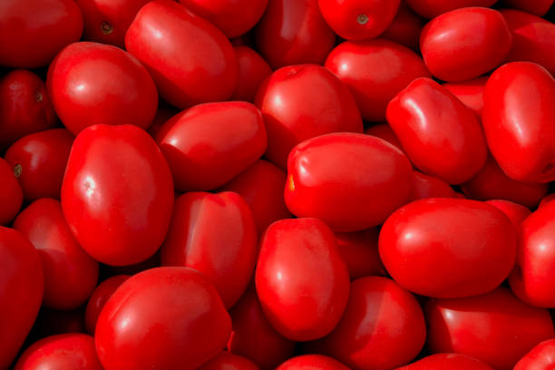 plum tomatoes background - plum tomato fotos imagens e fotografias de stock