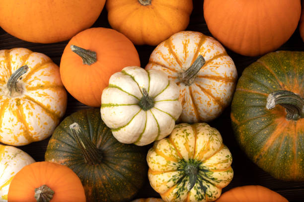 istock Assortiment of pumpkins background 1267892034