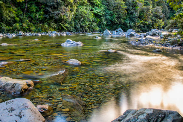 istock Pristine clean and clear river waterflowing through Kaitoki Regional Park 1267905292