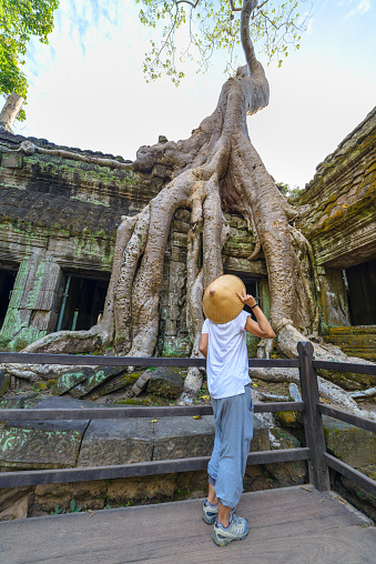 Tourist looking at Ta Prohm famous jungle tree roots embracing Angkor temples, revenge of nature against human buildings, travel destination Cambodia.