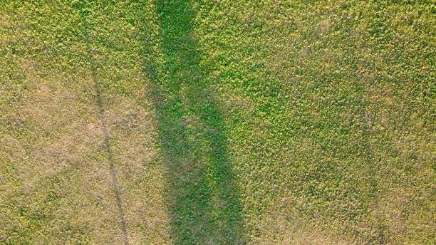 istock short grass photographed from above with the drone. 1267928584