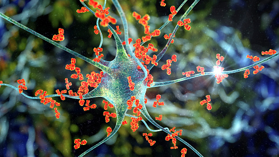 Anticuerpos que atacan a la neurona photo