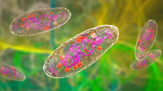 Plague bacterium Yersinia pestis, scientifically accurate 3D illustration showing structure of the cell with DNA, plasmids and ribosomes