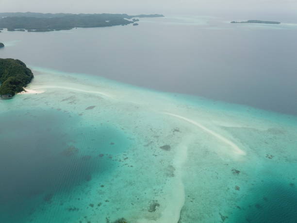 istock German channel at Palau, Manta ray diving spot 1267935036