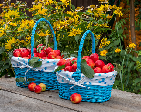 A close-up of a red apple fruit and yellow lemon citrus in woven basket.