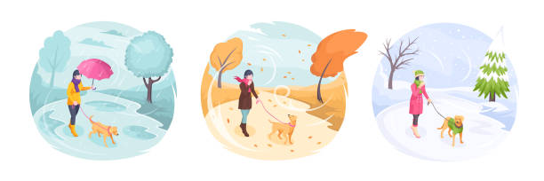 haustier zu fuß bei schlechtem wetter, frau mit hund im park, vektor isometrische flache illustration. mädchen zu fuß hund an der leine bei winterschnee, herbstwind und regen, besitzer wanderhund in warmer kleidung - snow dog walking running stock-grafiken, -clipart, -cartoons und -symbole