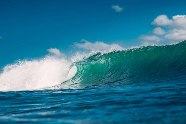istock Crashing perfect blue wave. Breaking barrel wave, power of ocean 1267946124