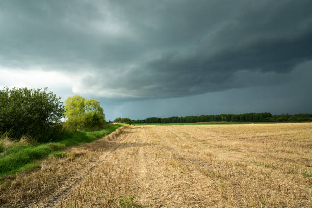 istock Stubble field and storm clouds on the sky 1267972219