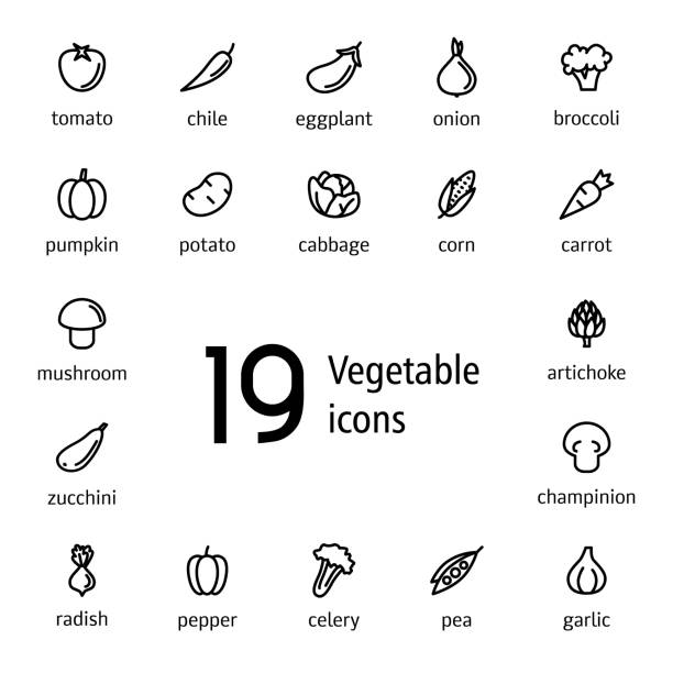 흰색 배경에 격리 된 간단한 평평한 야채 라인 아이콘 세트. 웹 응용 프로그램 또는 메뉴에 대한 현대적인 윤곽 그림. - 벡터 - eggplant tomato white background fruit stock illustrations