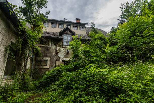 istock old abandoned house with high straeuchern 1267997208