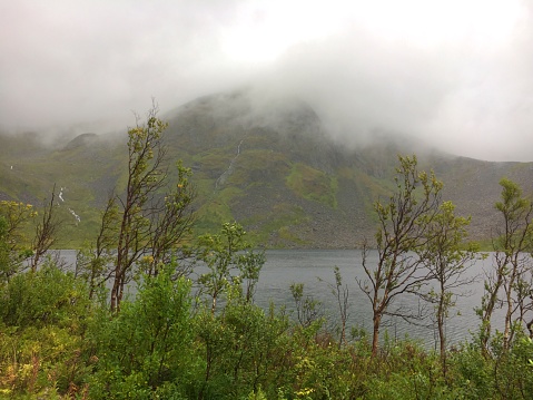 Even in summer it can get very rough in the fjords of Senja Island.  Cold winds and constant rain create a certain mood. The fog hangs in the heights of the mountains.